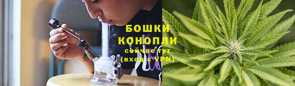 МДПВ Богородицк